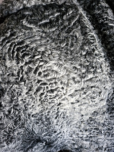 Karakul. Kasukas. Naturaalne poolkasukas. Rinnaümbermõõt 115 (3 foto / 9)