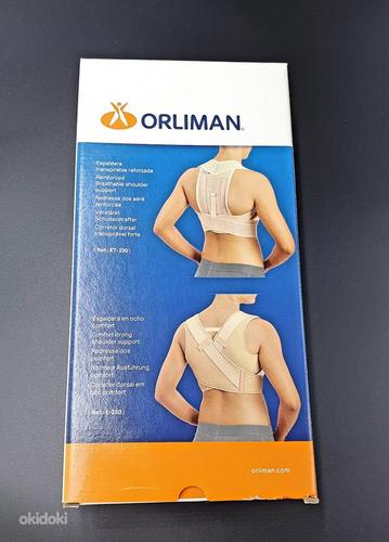 Карсет для спины Orliman (фото #1)