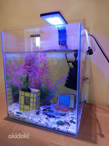 Аквариум с сомиками 30 л
