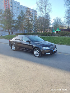 Škoda Octavia 1.4 TSI 104 kWt 2013 (2 foto / 13)