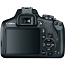 Canon EOS 2000D Kit 18-55 IS STM / EF-S 18-200mm IS (foto #5)