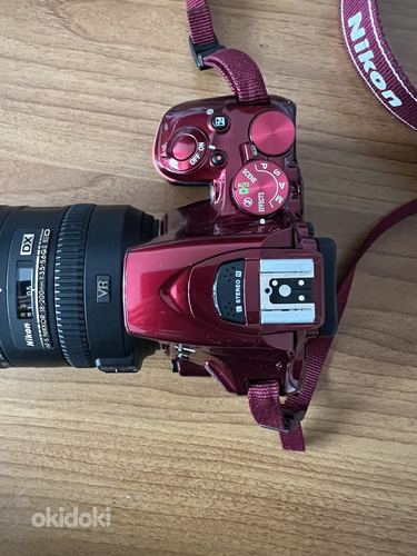 Nikon d5500 + Nikon AF-S DX VR Zoom Nikkor 18-200mm f/ 3.5-5 (фото #8)