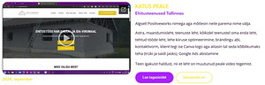 VEEBILEHE LOOMINE MITME LEHEGA + SEO + JUHENDAMINE (4 foto / 6)