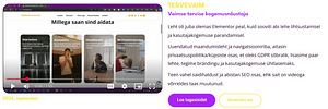 VEEBILEHE LOOMINE MITME LEHEGA + SEO + JUHENDAMINE (5 foto / 6)
