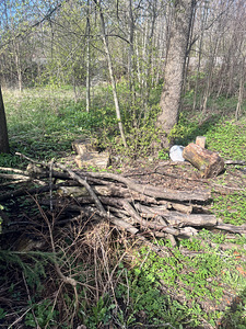 Annan tasuta küttepuid, ise järele tulla (4 foto / 5)