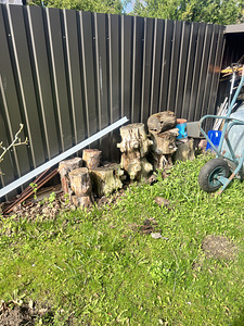 Annan tasuta küttepuid, ise järele tulla (5 foto / 5)