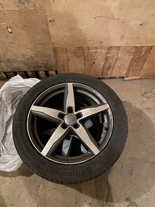Veljed R18 koos suverehvidega (7 foto / 7)
