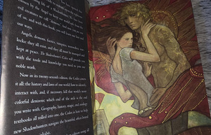 Shadowhunter's Codex by Cassandra Clare (2 foto / 2)
