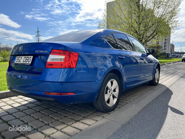 Škoda Octavia Ambition 2019 (foto #5)