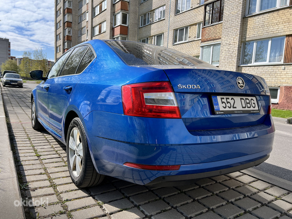 Škoda Octavia Ambition 2019 (foto #6)