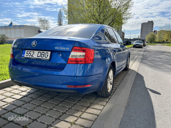 Škoda Octavia Ambition 2019 (фото #7)