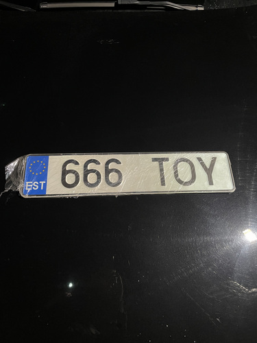 Автомобильный регистрационный знак 666TOY