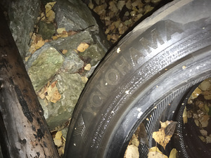205/55 r16 (2 foto / 4)