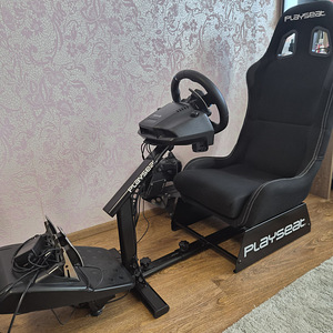 G29 DRIVING FORCE,PLAYSEAT (1 foto / 6)