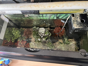 Kasutatud akvaarium (2 foto / 2)