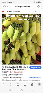 Рассада Томатов (4 фото из 4)