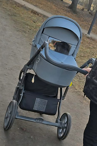 2-ühes jalutuskäru (2 foto / 4)