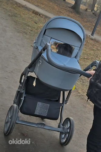 2-ühes jalutuskäru