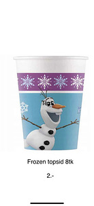 Frozen teemaline sünnipäevakomplekt (3 foto / 8)