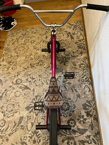 BMX colony premise 2019