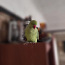 Ожереловый попугай - зеленый (фото #2)
