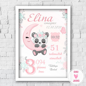 Poster 21*30 suuruses sünniandmetega valge raamiga (3 foto / 10)