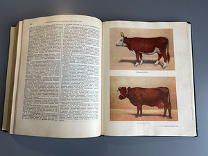 Veterinaarentsüklopeediline sõnaraamat 1. ja 2. köide 1950-1 (2 foto / 2)