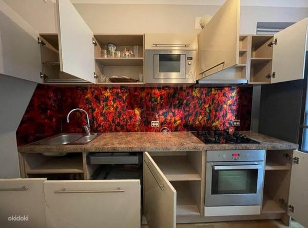 Kvaliteetne köögimööbel koos tehnikaga 250 cm. (foto #3)