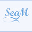 SeaM - Ваш персональный бухгалтер (фото #3)