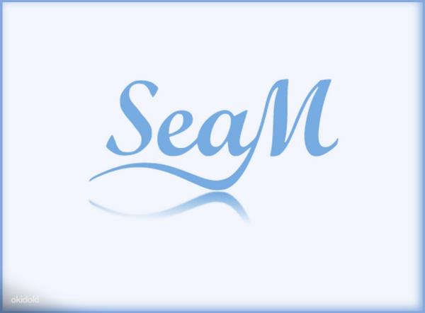 SeaM - Teie isiklik raamatupidaja (foto #3)