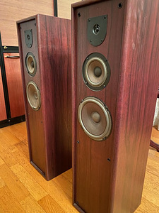 JBL TLX 320 (2 фото из 3)