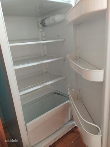 Холодильник Snaige (фото #2)