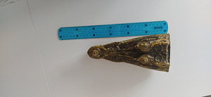 Alligaatori pea. Голова аллигатора. Alligator head. (7 фото из 8)