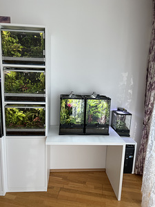 Продам 3 террариума с компьютерным столом и тумбочкой (3 фото из 3)