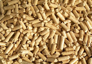 Puidust pesakond tualetti (kassid, linnud, närilised) 3 kg (1 foto / 2)