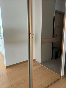 Peegel-liuguksed kuldsete mattprofiilidega. 1 pehme sulgur (2 foto / 3)