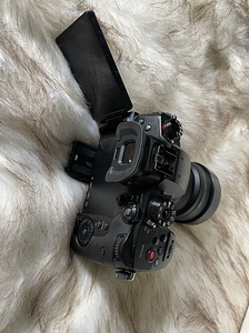 Panasonic Lumix GH5S body (5 foto / 5)