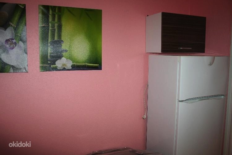 Üürida 1-toaline korter Tallinnas, йismäel (foto #7)