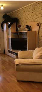Секционный шкаф (1 фото из 1)