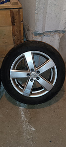 Subaru veljed (2 foto / 4)