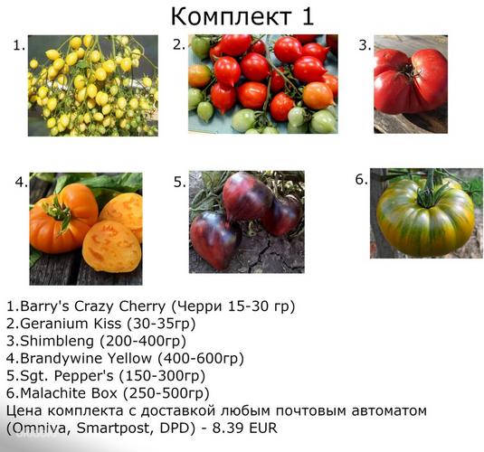 Erinevate sortide tomatite seemned (foto #1)