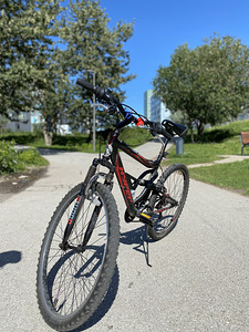 Bike with double suspension (5 foto / 6)
