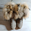 Кожаные стильные фирменные ботинки от BRUNO PREMI 36 р (фото #2)