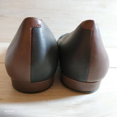 Шкіряні, стильні жіночі туфлі від Camper - 40-41 р шкіра вед (фото #4)