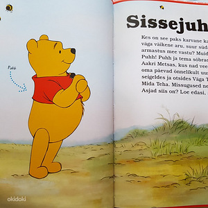 Uued raamatud (3 foto / 10)