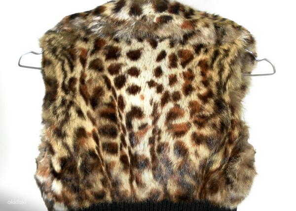 Guess леопардовый стильный жилет мех кролика -вязка, S-M (фото #7)