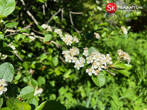 Katariina, Velisemõisa, Märjamaa vald, Raplamaa (6 foto / 10)