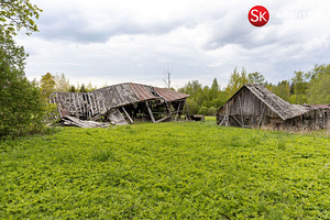 Järva maakond, Järva vald, Vaali küla (10 foto / 10)