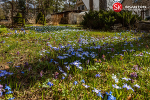 Rohula tn 42a, Nõmme, Tallinn, Harjumaa (8 foto / 10)