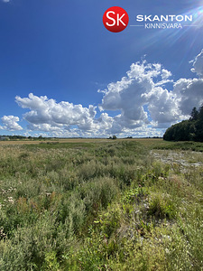 Künkametsa, Järsi, Raasiku vald, Harjumaa (7 foto / 10)